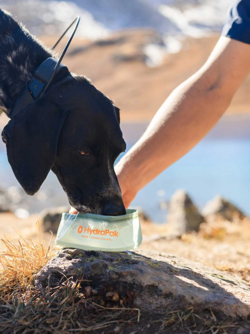 Hydrapak Vas moale pentru apa Rover Dog Bowl