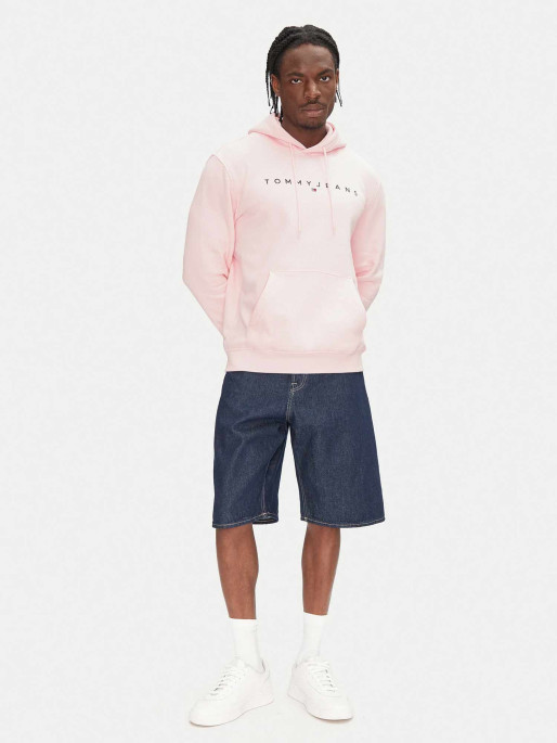 TOMMY JEANS Hoodie TJM REG LINEAR LOGO HOODIE EXT