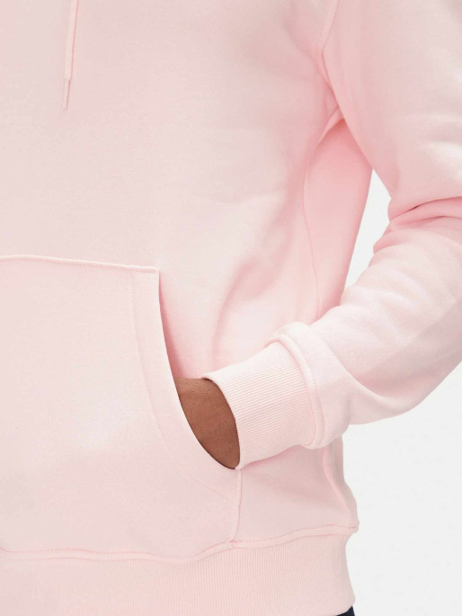 TOMMY JEANS Hoodie TJM REG LINEAR LOGO HOODIE EXT