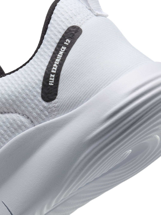 NIKE FLEX EXPERIENCE RN 12