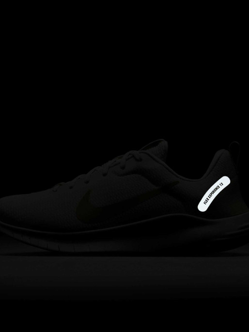 NIKE Incaltaminte W Flex Experience Rn 12
