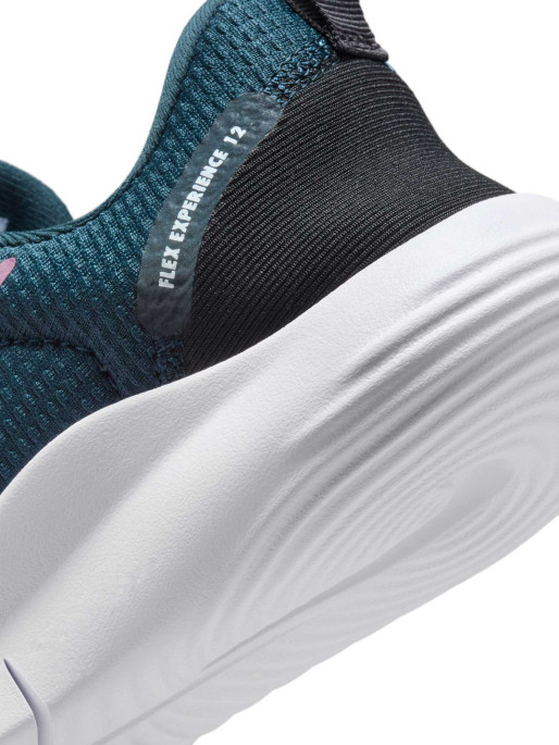NIKE Incaltaminte W Flex Experience Rn 12