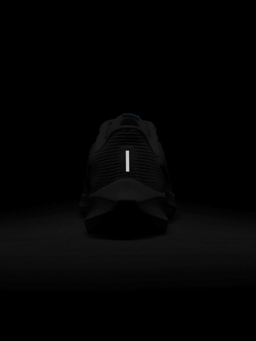NIKE Παπούτσια Pegasus 40