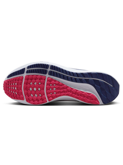 NIKE Παπούτσια Pegasus 40