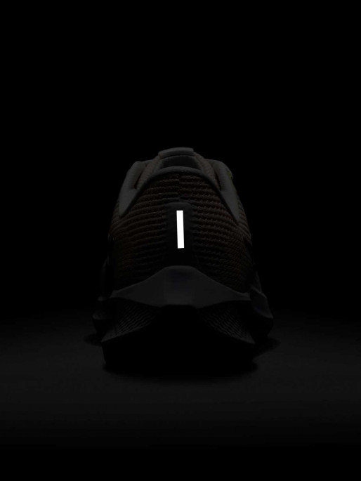 NIKE Παπούτσια Pegasus 40