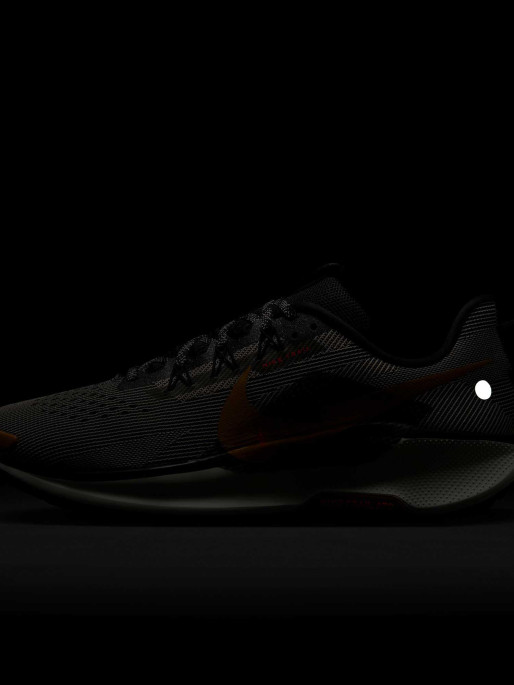 NIKE Incaltaminte Reactx Pegasus Trail 5