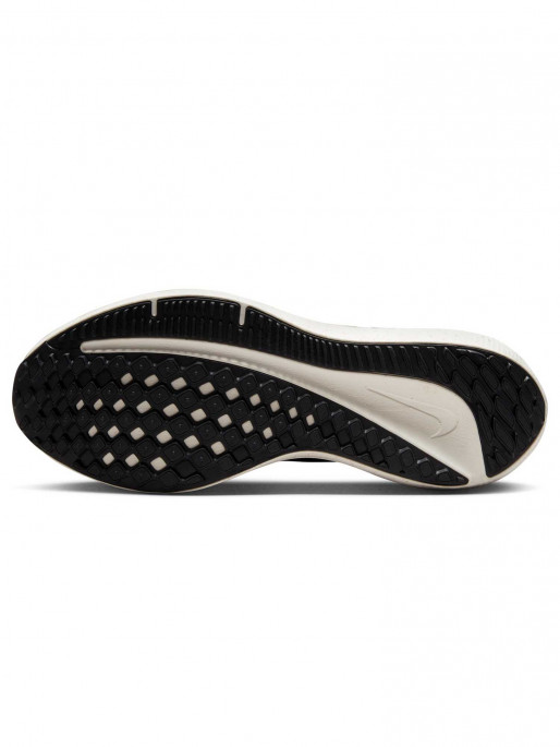 NIKE Incaltaminte Air Winflo 10