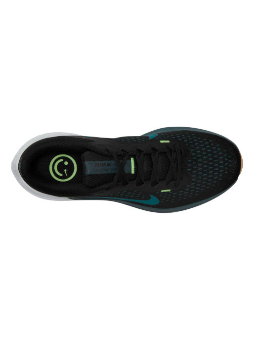 NIKE Incaltaminte Air Winflo 10