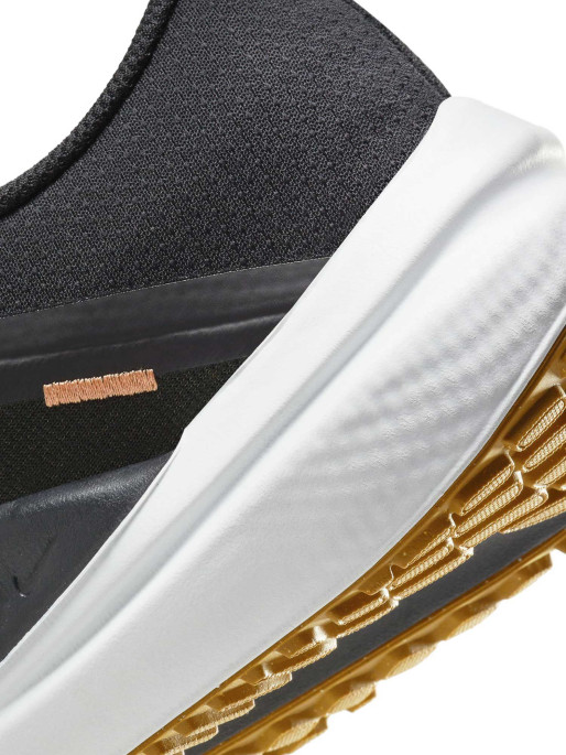 NIKE Παπούτσια AIR WINFLO 10