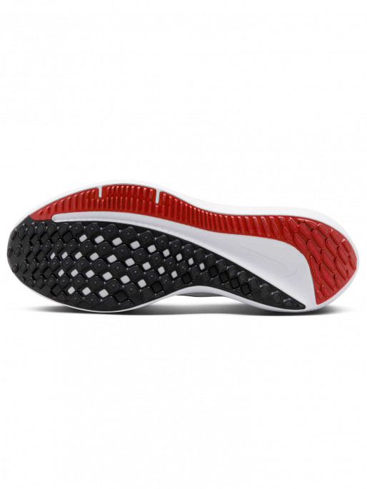 NIKE Incaltaminte Air Winflo 10