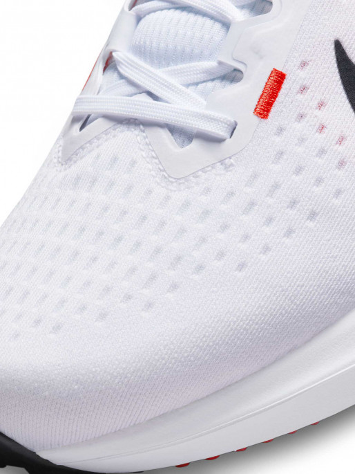 NIKE Incaltaminte Air Winflo 10