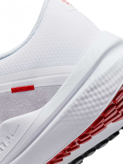 NIKE Incaltaminte Air Winflo 10