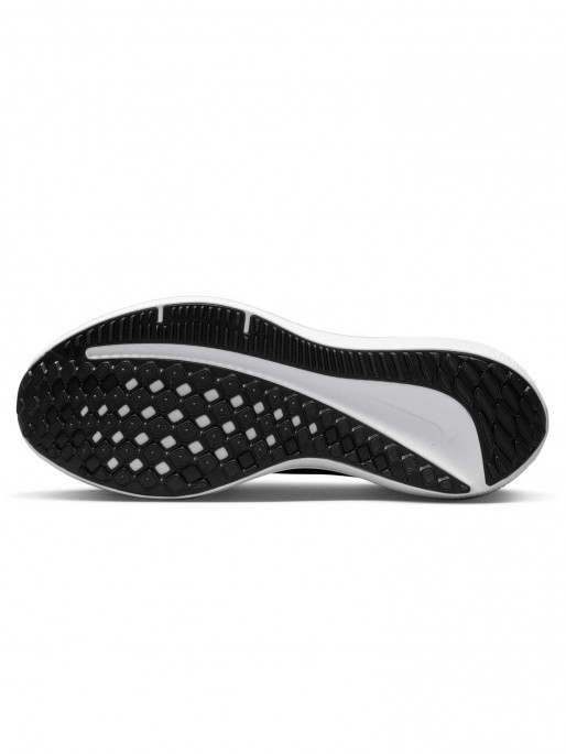NIKE Incaltaminte Air Winflo 10
