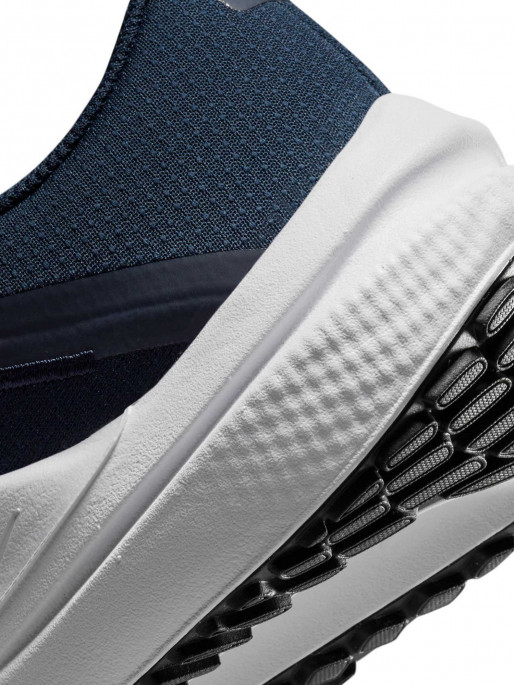NIKE Incaltaminte Air Winflo 10