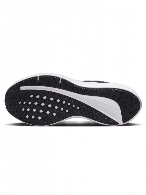 NIKE Incaltaminte W Air Winflo 10