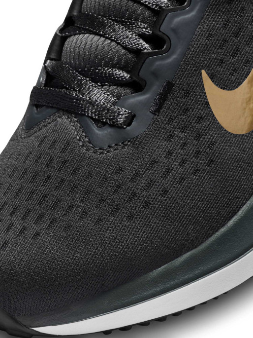 NIKE Incaltaminte W Air Winflo 10