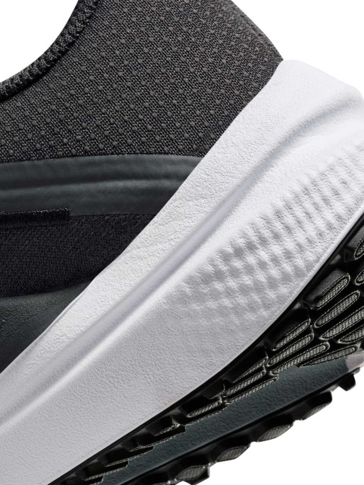 NIKE Incaltaminte W Air Winflo 10