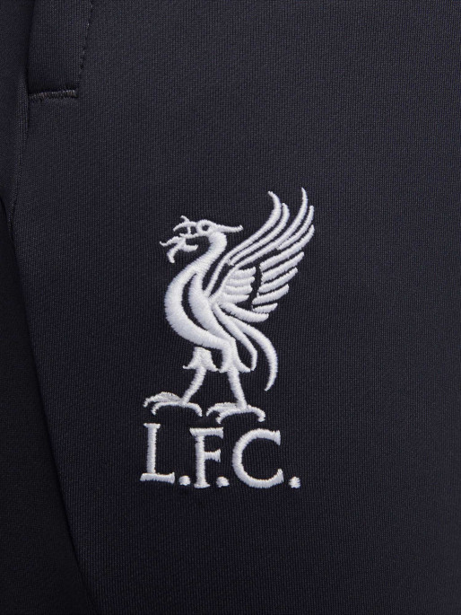 NIKE LFC M NK DF STRK PANT KP 3R