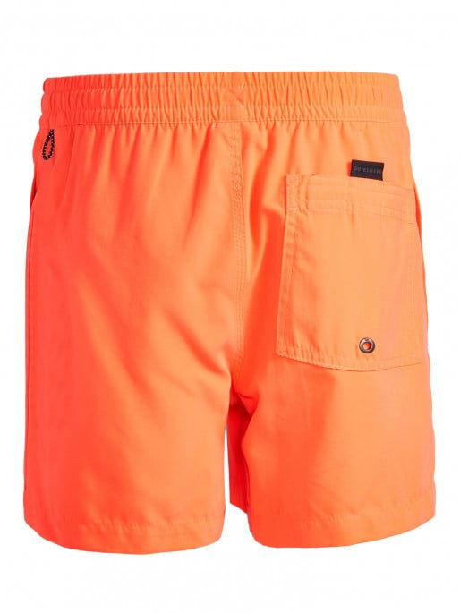 QUIKSILVER EVDAYVLYTH13 B Swim shorts