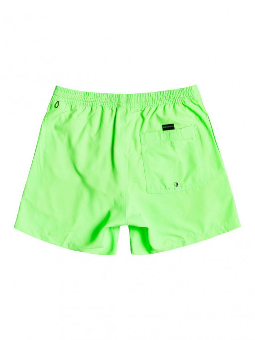 QUIKSILVER EVERYDAY VOLLEY 13 Swim Shorts
