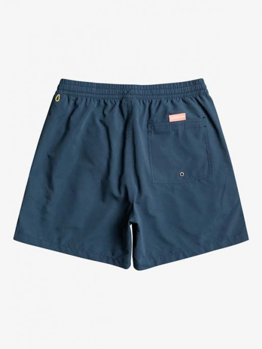 QUIKSILVER EVERYDAY VERT VOLLEY YOUTH 14 Swim Shorts