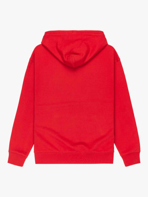 QUIKSILVER Μακρυμάνικη Μπλούζα DNA HOODIE