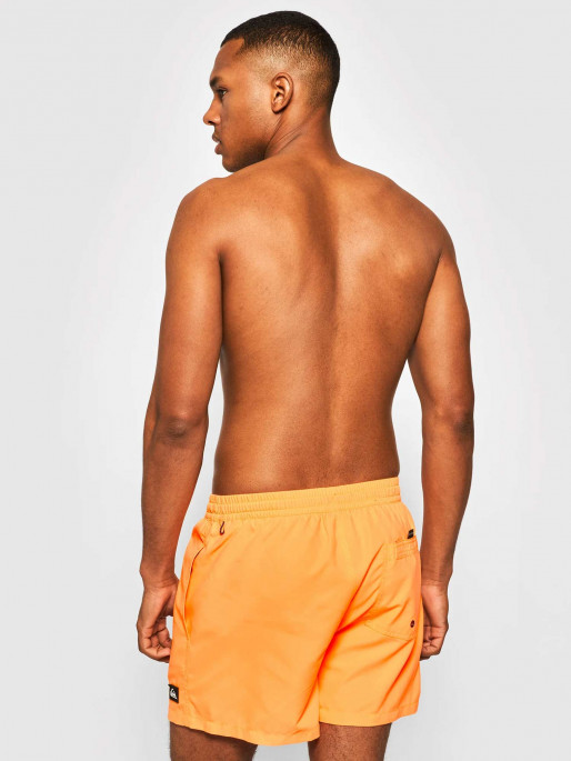 QUIKSILVER Αθλητικό Μαγιό EVDAYVL15 M JAMV