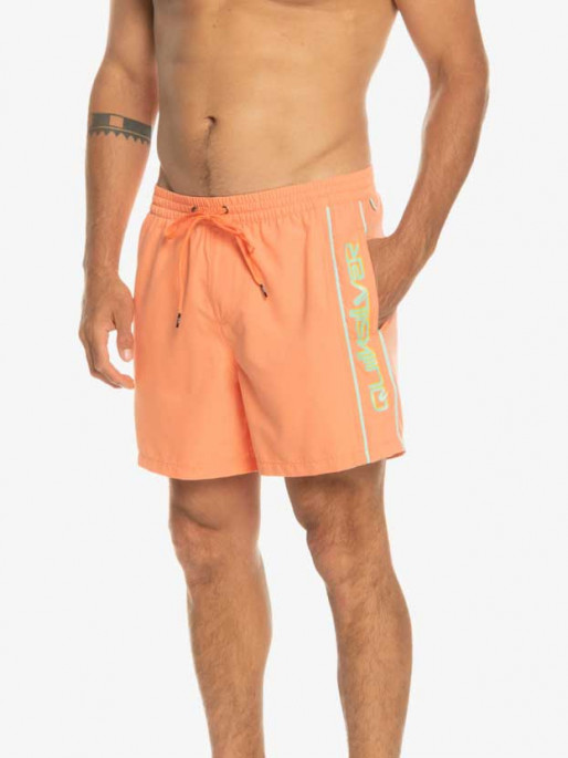 QUIKSILVER EVERYDAY VERT VOLLEY 16 Swim Shorts