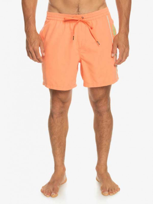 QUIKSILVER EVERYDAY VERT VOLLEY 16 Swim Shorts