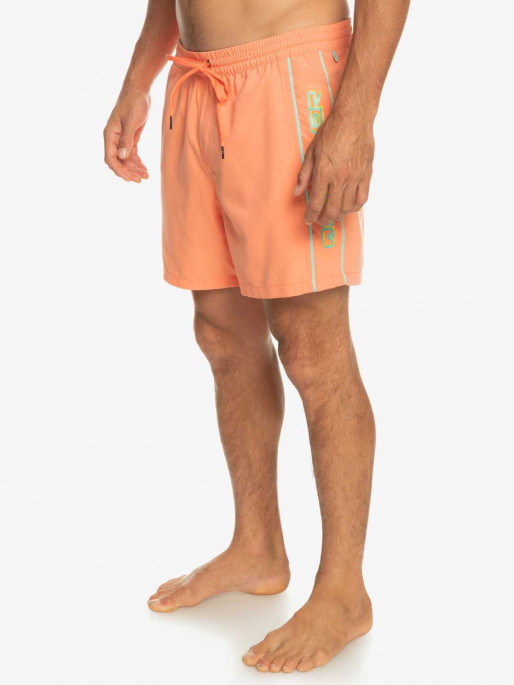 QUIKSILVER EVERYDAY VERT VOLLEY 16 Swim Shorts