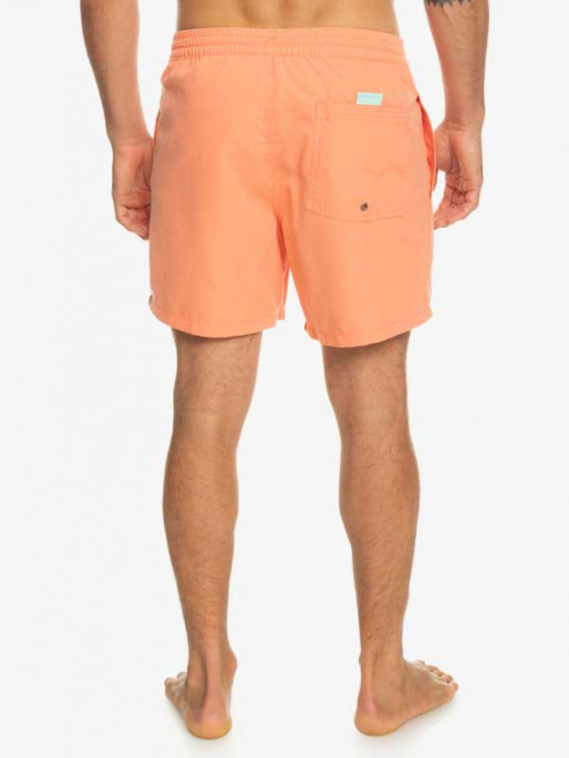 QUIKSILVER EVERYDAY VERT VOLLEY 16 Swim Shorts