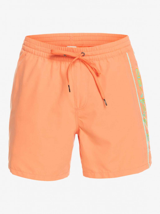QUIKSILVER EVERYDAY VERT VOLLEY 16 Swim Shorts