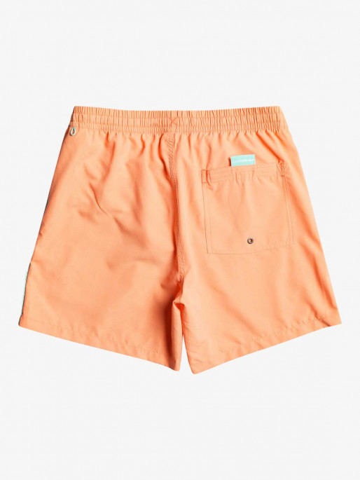 QUIKSILVER EVERYDAY VERT VOLLEY 16 Swim Shorts