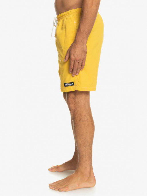 QUIKSILVER SATURN VOLLEY 18 NB Shorts