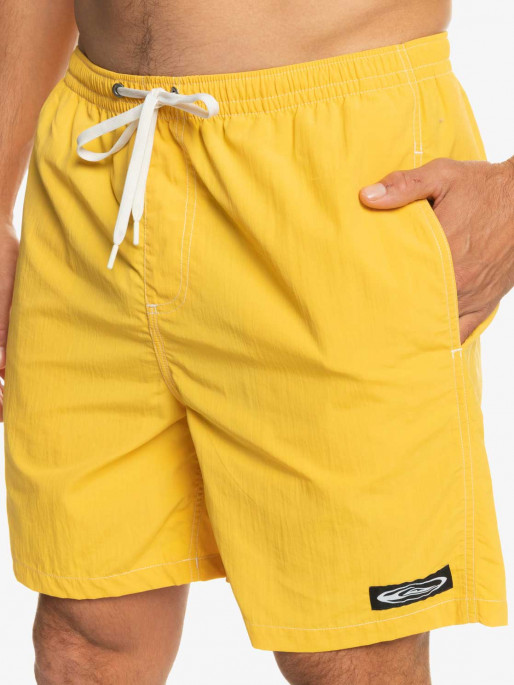 QUIKSILVER SATURN VOLLEY 18 NB Shorts