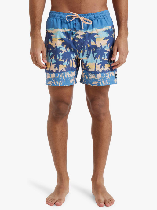 QUIKSILVER EVERYDAY STRAIGHT VOLLEY 15 Swim Shorts