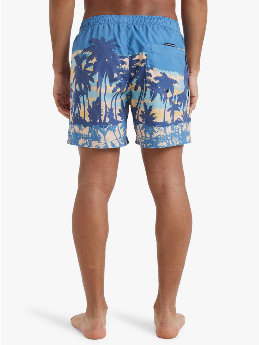 QUIKSILVER EVERYDAY STRAIGHT VOLLEY 15 Swim Shorts