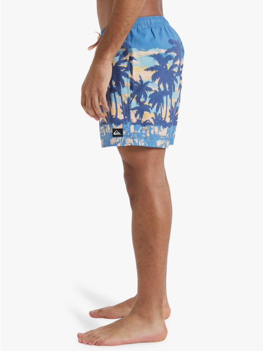 QUIKSILVER EVERYDAY STRAIGHT VOLLEY 15 Swim Shorts