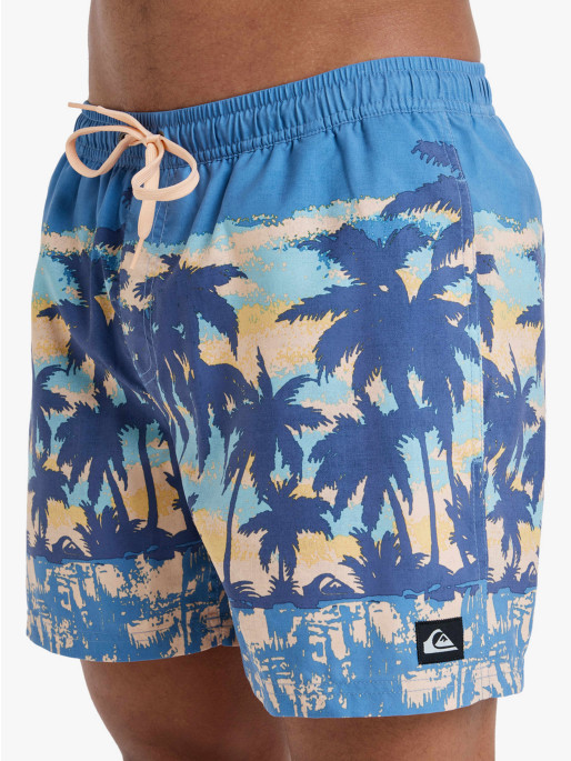 QUIKSILVER EVERYDAY STRAIGHT VOLLEY 15 Swim Shorts