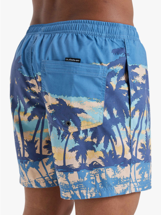 QUIKSILVER EVERYDAY STRAIGHT VOLLEY 15 Swim Shorts