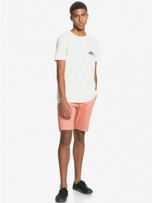 QUIKSILVER EVERYDAY CHINO Shorts