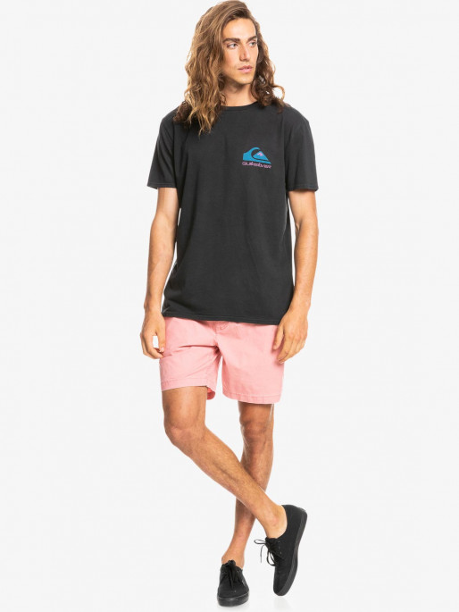 QUIKSILVER TAXER WS Shorts