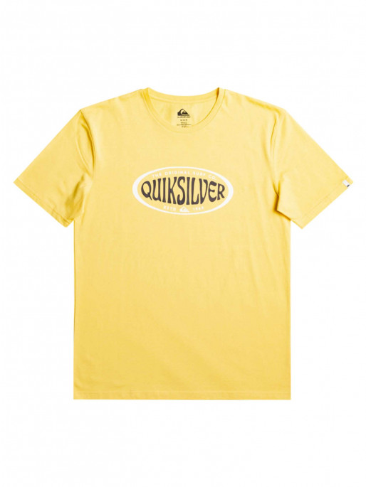 Quiksilver COMPLOGO BYJ0 - Print T-shirt - desert sage/green - Zalando.de