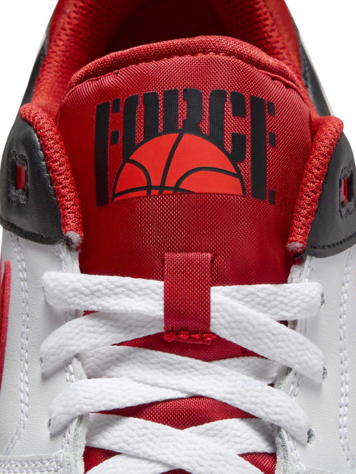 NIKE Incaltaminte Full Force Lo