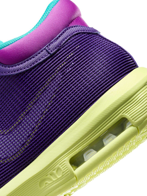 NIKE Incaltaminte Lebron Witness VIII