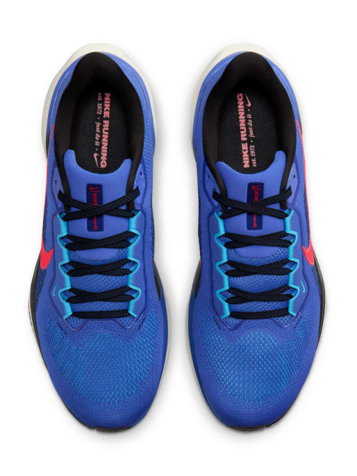 NIKE Incaltaminte Air Zoom Pegasus 41