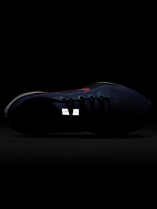 NIKE Incaltaminte Air Zoom Pegasus 41