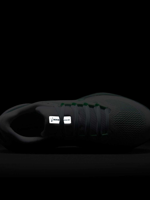 NIKE Παπούτσια W AIR ZOOM PEGASUS 41