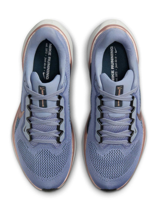 NIKE Incaltaminte W Air Zoom Pegasus 41