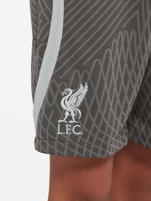 NIKE Pantaloni scurti Lfc Y Nk Df Strk Kz